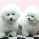 심바스튜디오 이미지