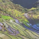 강변의 하루 이미지