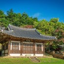 충효복사 이미지