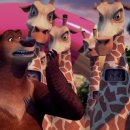 슈퍼베어 이미지