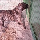 렉시호텔 이미지