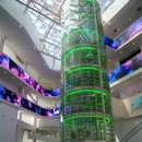 서천장항현대서비스 | 8월에 맥문동 꽃축제와 해양박물관, 아이와 함께 한 서천여행