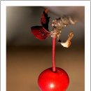 광양동초등학교 이미지