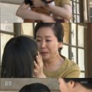 손이빛나리 이미지