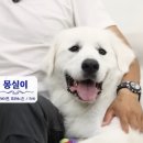 두리몽실