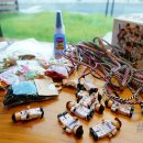 트윈스A 이미지