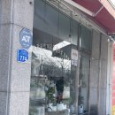 꽃집) 대전 모든 꽃 화원 플라워샵 추천 내돈내산 솔직후기