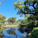 수생약국 이미지