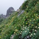 플랙스호텔 이미지