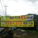 봉다리농장 이미지