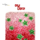 [12.05 (금)] <브로콜리너마저> 단독 콘서트 크리스마스 추가공연 티켓오픈!! 이미지