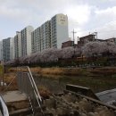 강남공인중개사사무소 이미지