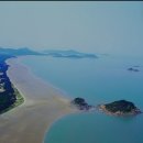 대광사이언스