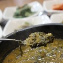 태평양볼테기 이미지