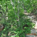 두척계곡 이미지