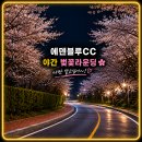 에덴보석 - 충주시 중앙로 21 | 에덴블루cc 야간라운딩 ㅣ 벚꽃만개한 4월 골프장 추천