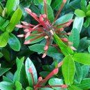 구(고경) 이미지