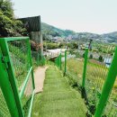 에이스유치원 이미지