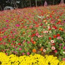 신흥근린공원 이미지