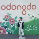 여수우체국 | 여수 가볼만한곳 오동도 동백꽃 명소 개화 상황 후기