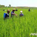 사동농장 이미지