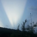 중근농장 이미지