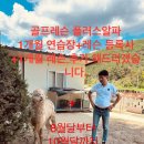 탑스크린골프 아카데미 이미지