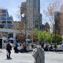 리치펄슨 이미지