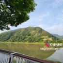 가연엔틱 | '단양 여행 먹거리 와 카페' 커피명가, 단빵제빵소 정보 및 후기
