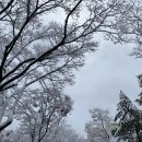 서울서신초등학교 네이버블로그