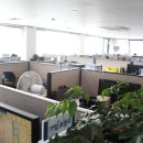 하나통신 이미지