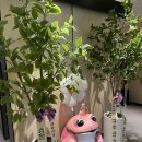 룸비룸서비스 부산경성대점 이미지