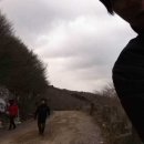 꽃샘길 화장실 Daum카페