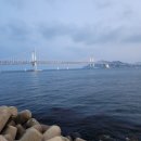이집호스텔 | 26년 3월, 부산, 벌새(1)