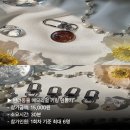 데이즈이브