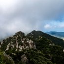 땅끝천년숲옛길 이미지