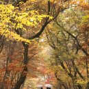 상림약수터 이미지