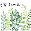 이삼식당 이미지