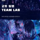 시내바이오 | 교토 팀랩 바이오보텍스 미디어아트 전시 후기, 예약