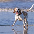 공골농장 이미지