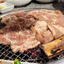 다도화