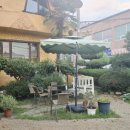 블루핸즈 사림점 이미지