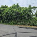 해성공인중개사사무소 이미지