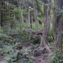 버스정류소-동문로터리 이미지