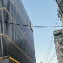 어거스트88