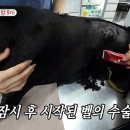 지성동물병원 이미지