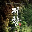 데이비니 이미지