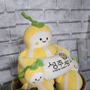 성원리 | [성주맛집추천] 가성비 좋고 푸짐한 양을 맛볼수 있는 성주버섯칼국수!