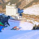 엘리시안강촌 이미지
