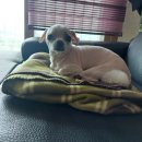 UR(남양주시)-[북부간선도로]-하-16 | 25.5살을 지나며 7월을 마무리하다.